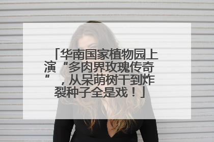 华南国家植物园上演“多肉界玫瑰传奇”，从呆萌树干到炸裂种子全是戏！