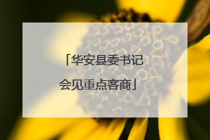 华安县委书记会见重点客商