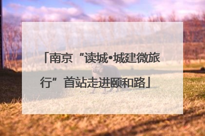 南京“读城•城建微旅行”首站走进颐和路