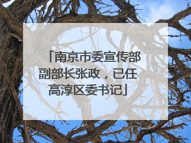 南京市委宣传部副部长张政，已任高淳区委书记