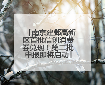 南京建邺高新区首批信创消费券兑现！第二批申报即将启动