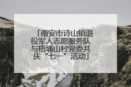 南安市诗山镇退役军人志愿服务队与梧埔山村党委共庆“七一”活动