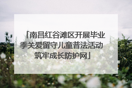 南昌红谷滩区开展毕业季关爱留守儿童普法活动 筑牢成长防护网