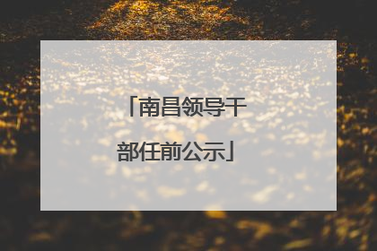 南昌领导干部任前公示