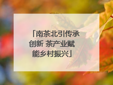 南茶北引传承创新 茶产业赋能乡村振兴