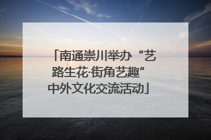 南通崇川举办“艺路生花·街角艺趣”中外文化交流活动