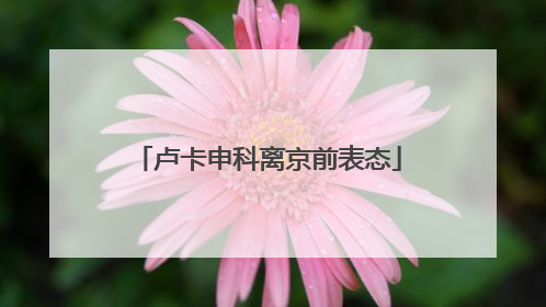 卢卡申科离京前表态