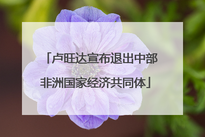 卢旺达宣布退出中部非洲国家经济共同体