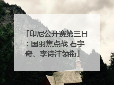 印尼公开赛第三日：国羽焦点战 石宇奇、李诗沣领衔