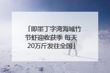 即墨丁字湾海域竹节虾迎收获季 每天20万斤发往全国
