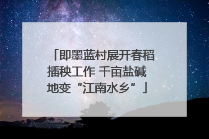 即墨蓝村展开春稻插秧工作 千亩盐碱地变“江南水乡”