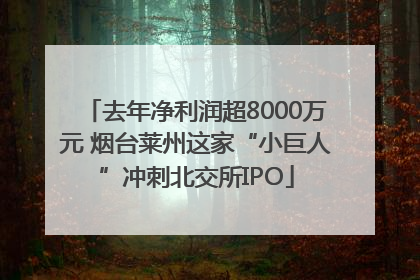 去年净利润超8000万元 烟台莱州这家“小巨人”冲刺北交所IPO