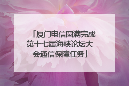 厦门电信圆满完成第十七届海峡论坛大会通信保障任务