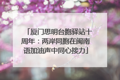 厦门思明台胞驿站十周年：两岸同胞在闽南语加油声中同心接力