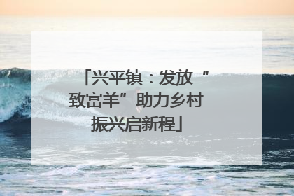 兴平镇：发放“致富羊”助力乡村振兴启新程