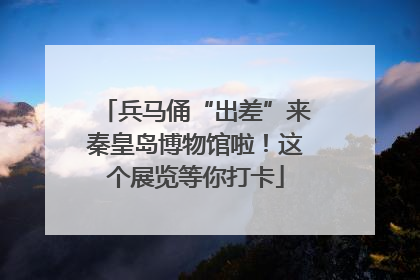 兵马俑“出差”来秦皇岛博物馆啦！这个展览等你打卡
