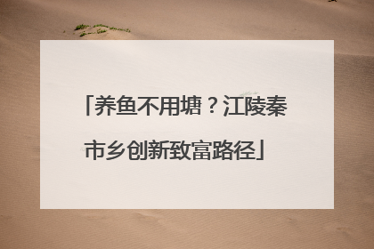 养鱼不用塘？江陵秦市乡创新致富路径