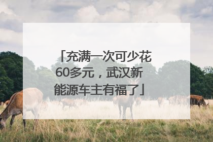 充满一次可少花60多元，武汉新能源车主有福了