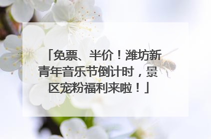 免票、半价！潍坊新青年音乐节倒计时，景区宠粉福利来啦！