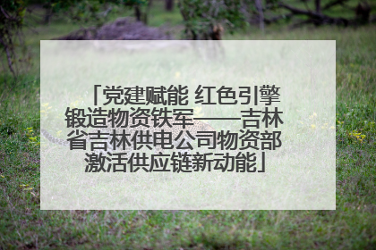 党建赋能 红色引擎锻造物资铁军——吉林省吉林供电公司物资部激活供应链新动能