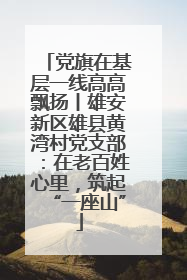 党旗在基层一线高高飘扬丨雄安新区雄县黄湾村党支部：在老百姓心里，筑起“一座山”