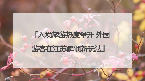入境旅游热度攀升 外国游客在江苏解锁新玩法