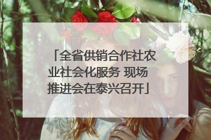全省供销合作社农业社会化服务 现场推进会在泰兴召开