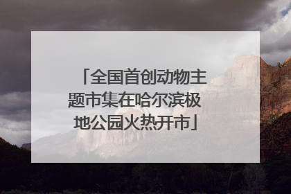 全国首创动物主题市集在哈尔滨极地公园火热开市