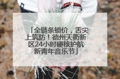 全链条锁价，舌尖上筑防！德州天衢新区24小时硬核护航新青年音乐节