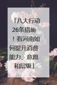 八大行动26条措施！看河南如何提升消费能力、意愿和层级