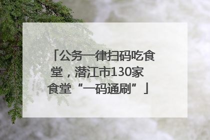 公务一律扫码吃食堂，潜江市130家食堂“一码通刷”