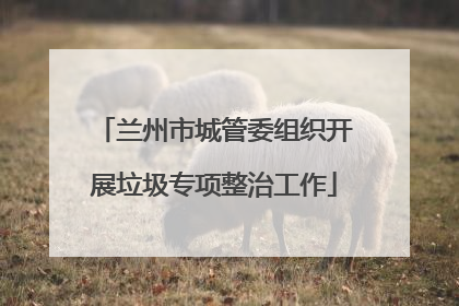 兰州市城管委组织开展垃圾专项整治工作