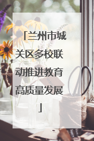 兰州市城关区多校联动推进教育高质量发展