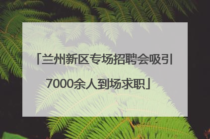 兰州新区专场招聘会吸引7000余人到场求职