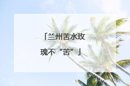 兰州苦水玫瑰不“苦”