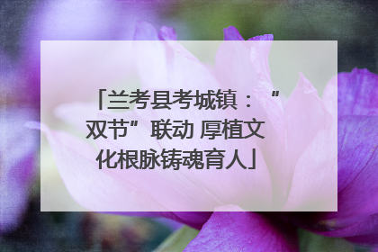 兰考县考城镇：“双节”联动 厚植文化根脉铸魂育人