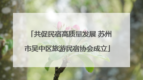 共促民宿高质量发展 苏州市吴中区旅游民宿协会成立