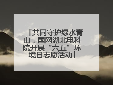 共同守护绿水青山，国网湖北电科院开展“六五”环境日志愿活动