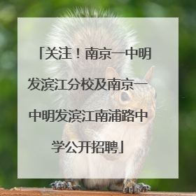 关注！南京一中明发滨江分校及南京一中明发滨江南浦路中学公开招聘
