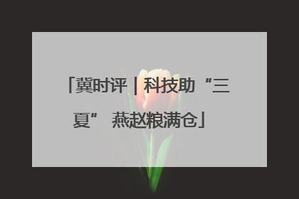 冀时评｜科技助“三夏” 燕赵粮满仓