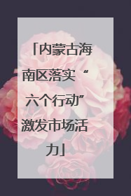 内蒙古海南区落实“六个行动”激发市场活力