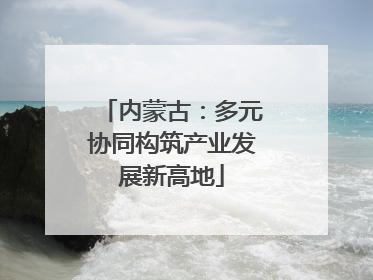 内蒙古：多元协同构筑产业发展新高地