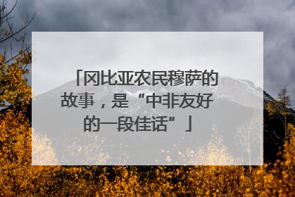 冈比亚农民穆萨的故事，是“中非友好的一段佳话”