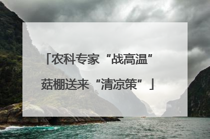 农科专家“战高温” 菇棚送来“清凉策”