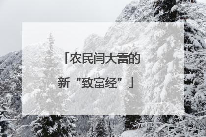 农民闫大雷的新“致富经”