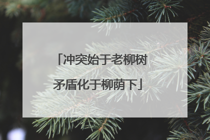 冲突始于老柳树 矛盾化于柳荫下