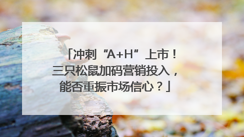 冲刺“A+H”上市！三只松鼠加码营销投入，能否重振市场信心？