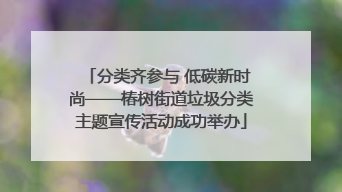 分类齐参与 低碳新时尚——椿树街道垃圾分类主题宣传活动成功举办