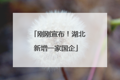 刚刚宣布！湖北新增一家国企