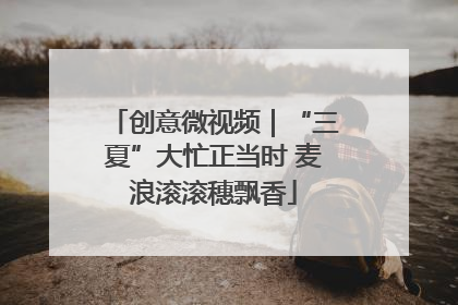 创意微视频｜“三夏”大忙正当时 麦浪滚滚穗飘香